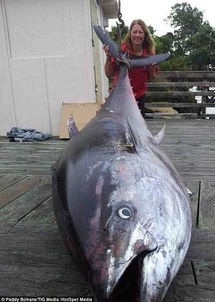 安徽现55岁“鱼王”1970年养到现在