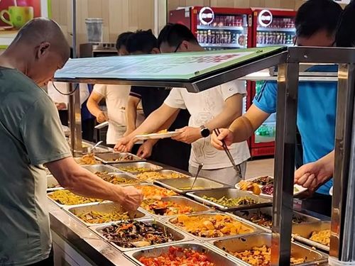 留学生食堂干饭遇大鸟抢食 留学生食堂干饭遇大鸟抢食