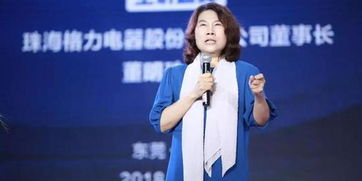 媒体:董明珠\间谍言论\背离常识 媒体:董明珠\间谍言论\背离常识