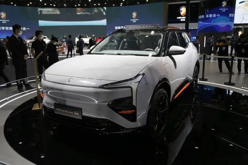 上海车展中东土豪扫货:国王开中国车 上海车展中东土豪扫货:国王开中国车