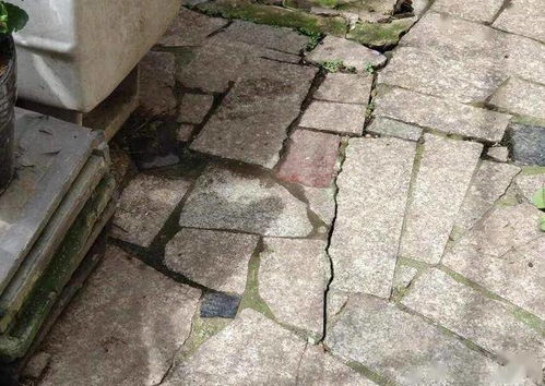 家中藏数百块大石头致墙体开裂? 家中藏数百块大石头致墙体开裂?