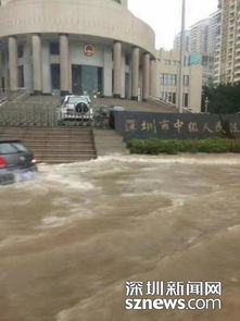 深圳地铁已被暴雨攻占 深圳地铁已被暴雨攻占