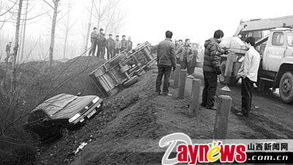 加拿大一车辆冲撞人群 造成人员伤亡