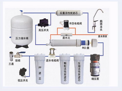 北方春天是南方人诱捕器 北方春天是南方人诱捕器