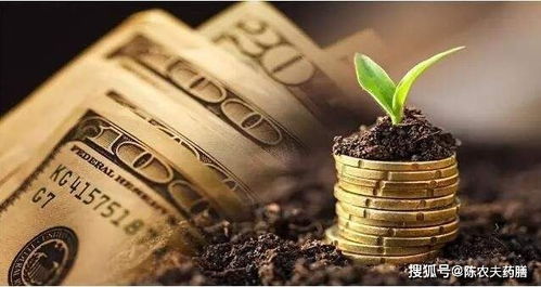 当下金价是否有泡沫 还能追吗? 当下金价是否有泡沫 还能追吗?