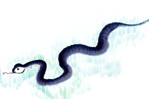 今年首个\蛇年蛇月蛇日蛇时\来了