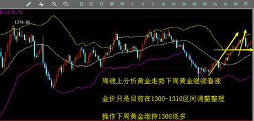 追高金价的年轻人 如何用策略止损? 追高金价的年轻人 如何用策略止损?