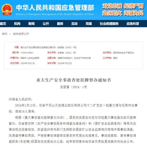 国务院安委会挂牌督办辽宁22死火灾