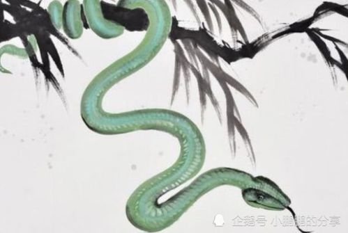 “蛇年蛇月蛇日蛇时”来了! “蛇年蛇月蛇日蛇时”来了!