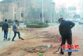 景区工作人员撒蛤蜊 游客追着捡 景区工作人员撒蛤蜊 游客追着捡