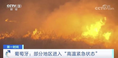 以色列因山火宣布进入国家紧急状态