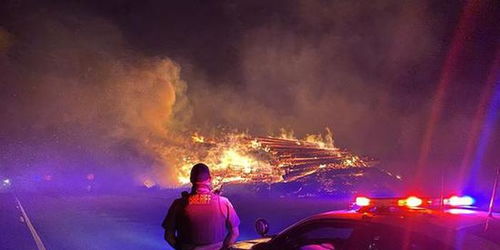 以色列因山火宣布进入国家紧急状态