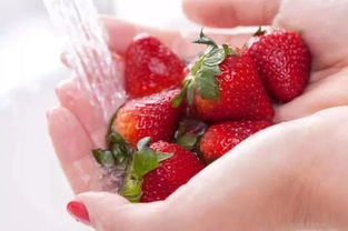 女子1分钟破纪录吃313克草莓