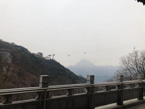 泰山山顶公厕挤满避寒的人 泰山山顶公厕挤满避寒的人