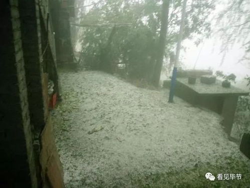 四川一地遭冰雹袭击 居民:吓得腿发抖 四川一地遭冰雹袭击 居民:吓得腿发抖