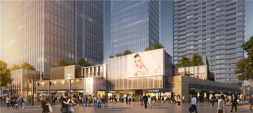 泰山陪爬小伙忙疯了也赚疯了