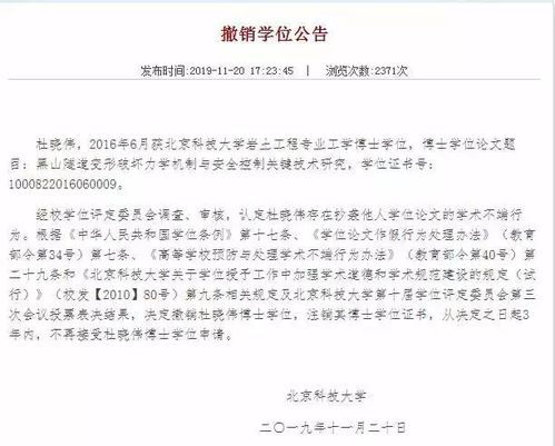 北科大调查董袭莹论文雷同质疑