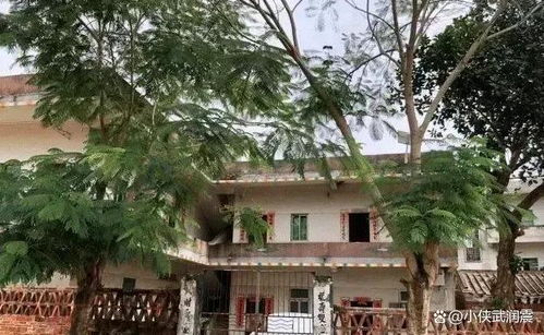 全红婵老家盖新房 将建120平米别墅