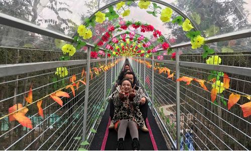 景区飞天魔毯失控 多名游客被甩出 景区飞天魔毯失控 多名游客被甩出