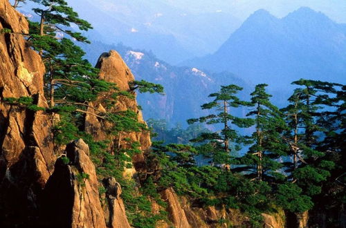 黄山3天捡了18个孩子