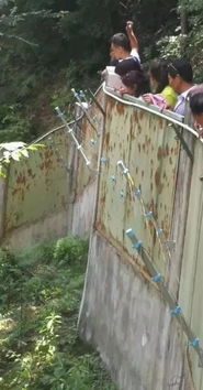 陕西一景区大量虫子往游客脖子里钻