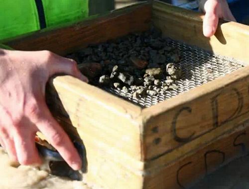 陕西一景区大量虫子往游客脖子里钻