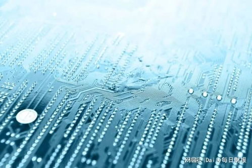 一种新型的\孤独经济\悄然出现