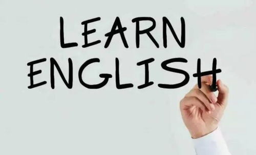 业内：胖东来讨厌“胖都来”们