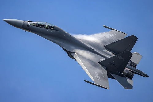 台退将谈歼-16与美军机缠斗近50分钟 台退将谈歼-16与美军机缠斗近50分钟