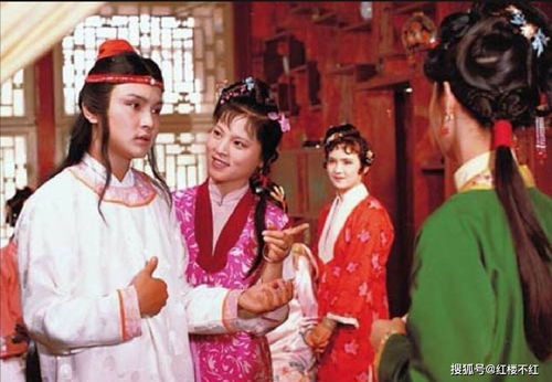 陈丽君为贾宝玉争议言论落泪道歉 陈丽君为贾宝玉争议言论落泪道歉
