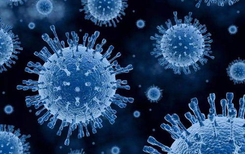 玉石风波后 胖东来再回应