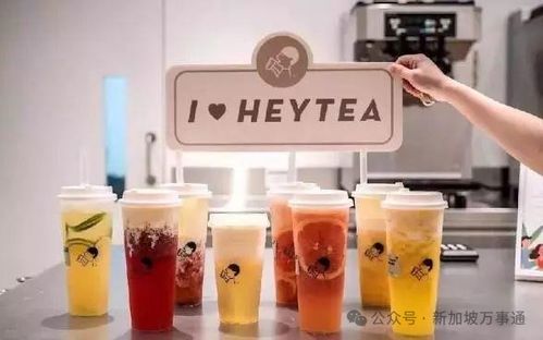 办公室轮流请奶茶好窒息 办公室轮流请奶茶好窒息