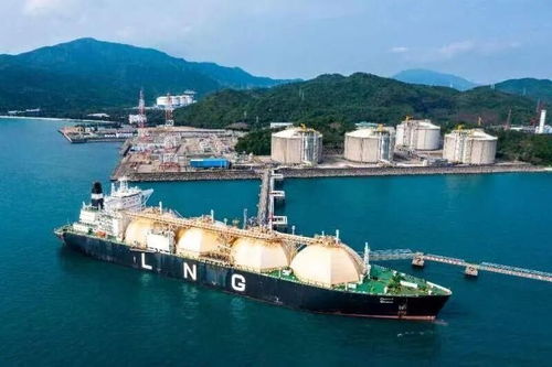 首批145%关税中国货船抵达美国