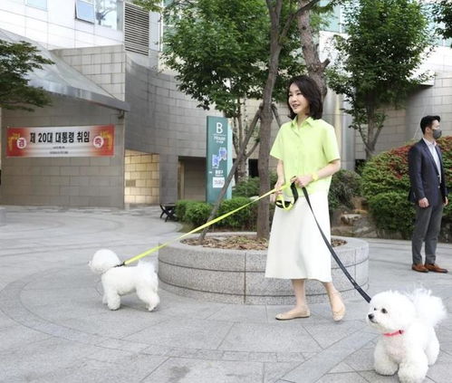 尹锡悦被拍到在公园“悠闲遛狗” 尹锡悦被拍到在公园“悠闲遛狗”