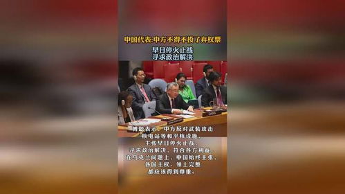 “中方不得不投出弃权票”