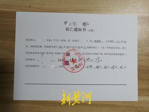 为证明我爸是我爸 我将奶奶告上法庭