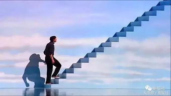 亲爱的楚门 我去了你向往的斐济 亲爱的楚门 我去了你向往的斐济