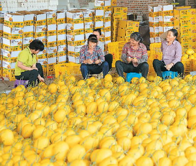 今年高价水果为啥纷纷降价 今年高价水果为啥纷纷降价