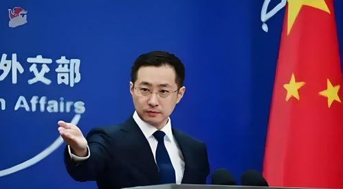 中国外交部回应印巴停火 中国外交部回应印巴停火