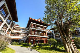 网传耗资10亿的潮汕豪宅将被强拆