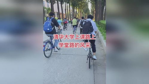 自行车你们是想考清华吧