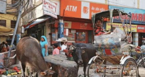 印度民众打砸一家叫卡拉奇的面包店 印度民众打砸一家叫卡拉奇的面包店