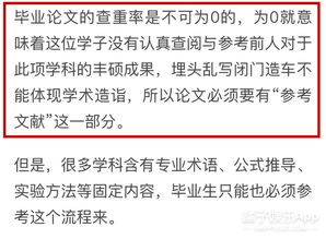毕业论文\不说人话\才能过审吗