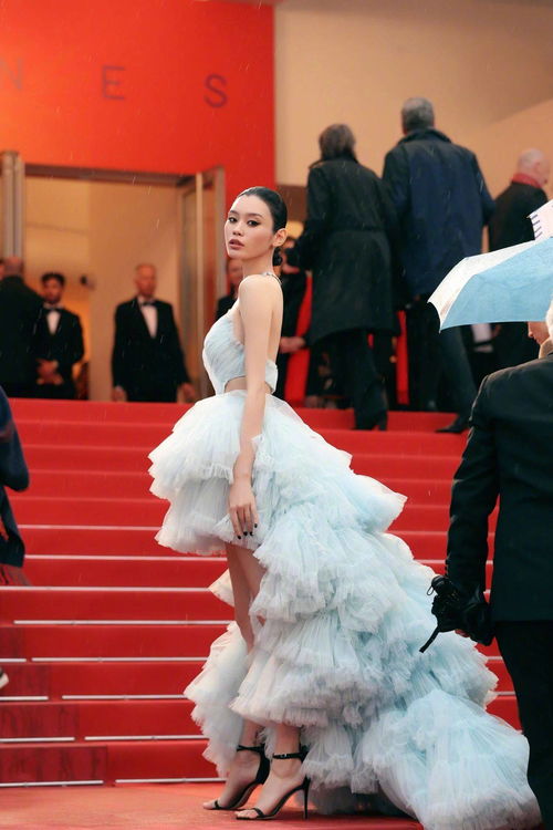 曝赵樱子戛纳红毯被请走 曝赵樱子戛纳红毯被请走