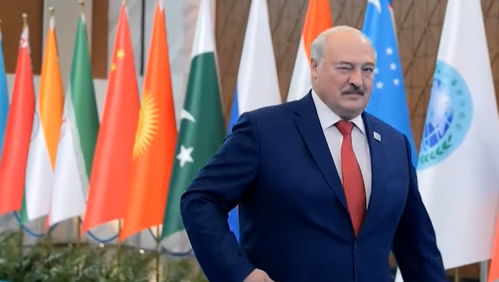 普京特朗普均缺席俄乌会谈