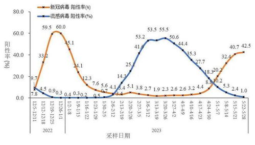 专家:当前正处于新冠阳性率小波峰 专家:当前正处于新冠阳性率小波峰