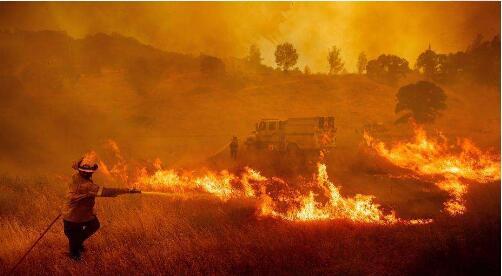美国加州50多只鸟空中突然爆炸