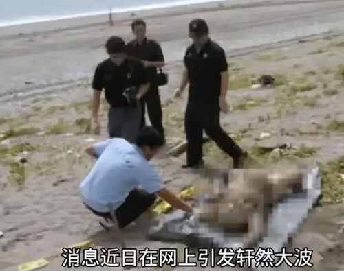 峨眉山29岁失联男子遗体被发现 峨眉山29岁失联男子遗体被发现