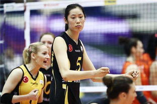 媒体:妹妹能否保送浙大无需扯上朱婷