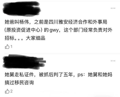 黄杨钿甜耳环事件当以事实定真伪 黄杨钿甜耳环事件当以事实定真伪